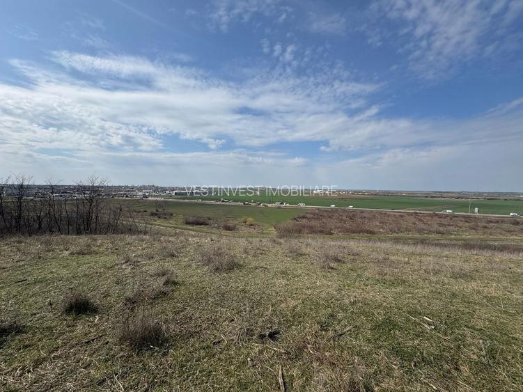 Teren 10262 mp extravilan Episcopia Oradea - 2