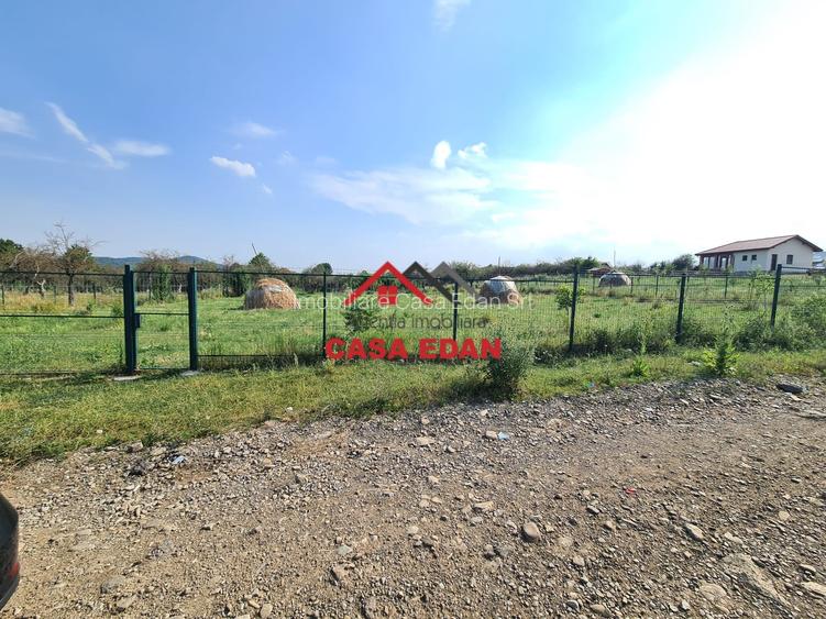 Teren intravilan in Campina, 7500mp--35e - 4