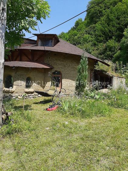 Proprietate pe Valea Vâlsanului – Cabane din lemn + Casă ecologică COB - 2