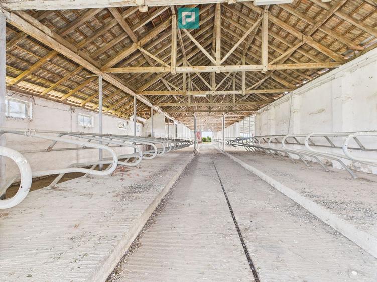 Complex industrial cu hale și teren  în Orțișoara - 28