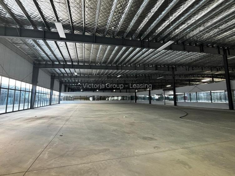 Depozite / logistică de închiriat – Afumați, Ilfov | Parc logistic modern - 5