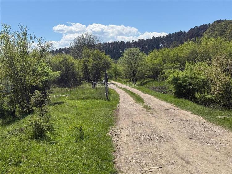 Teren lINTRAVILAN, langa Lempes, construibil - 3