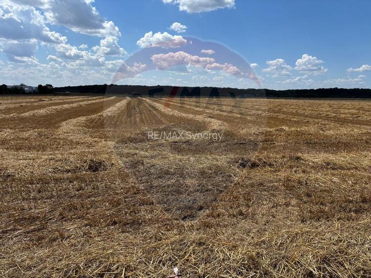 OCAZIE! Teren de vanzare Izvorani, 1858 mp, acces facil la DN1 - 3