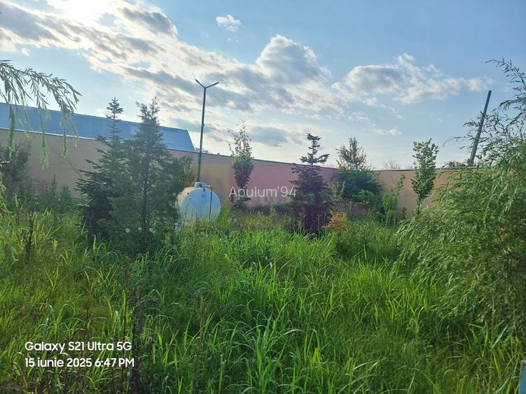 VANZARE CASA OASPETI + ANEXE IN  SAT TEISORI (JUD. GIURGIU) - 26