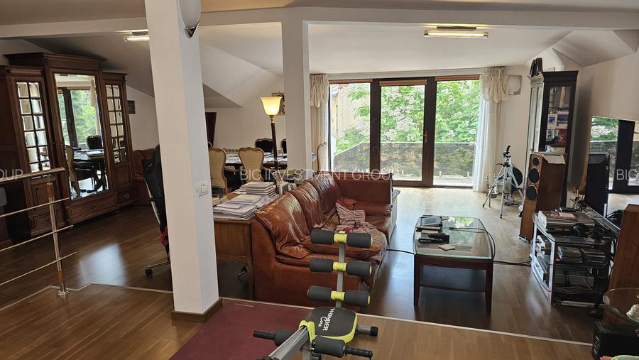 Plantelor, vila d+p+m, cu stil, renovata complet in 2020, curte libera 300 mp, - 15