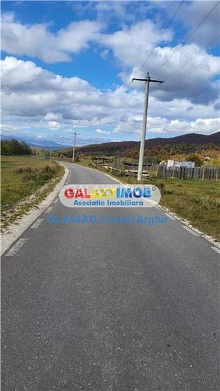 Vindem teren 20000 mp Cheile Rasnoavei - Brasov , pentru case vacanta - 10