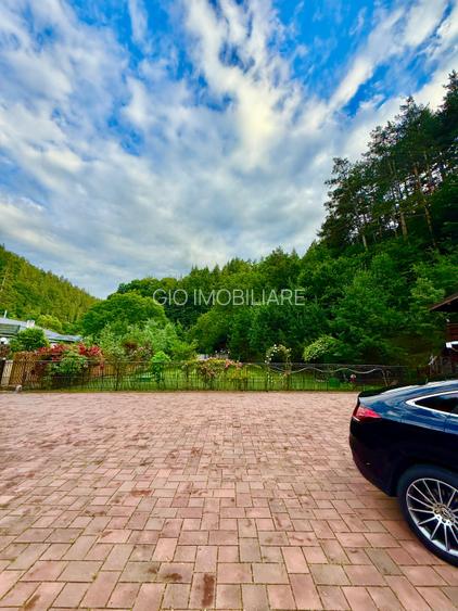 Casa de vacanta sau pensiune | Batca Doamnei | Teren in natura - 14