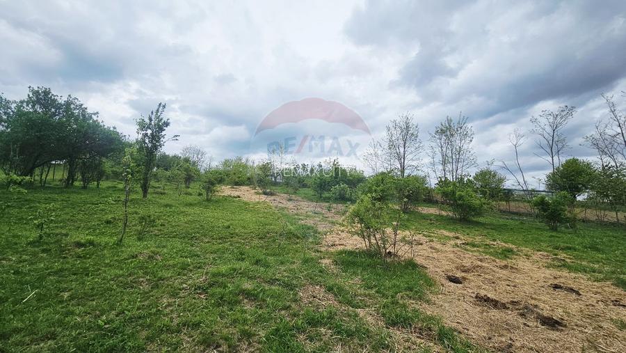 Teren 5,350mp Dobreni / Strada Manastirea Horaita - 15
