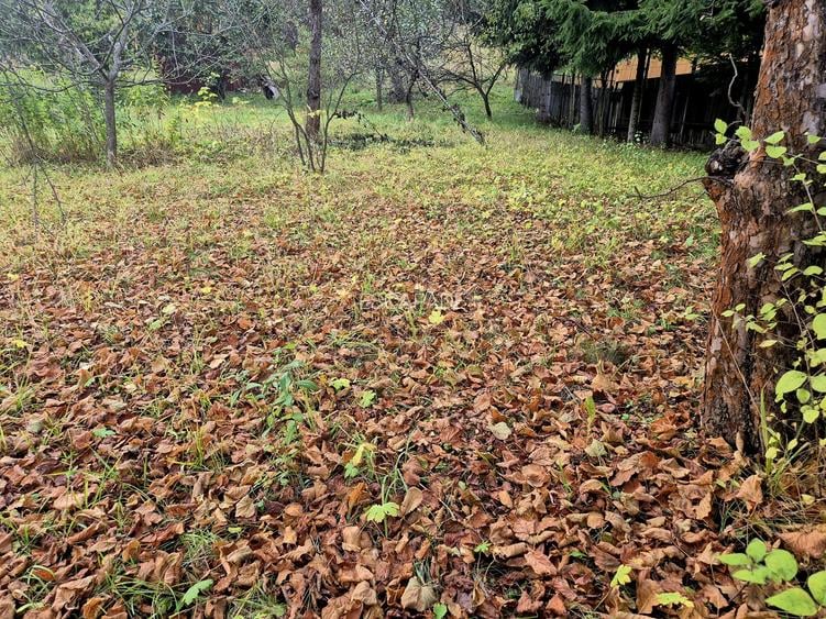 Casa de vacanta Timisu de Sus/Brasov/Oportunitate investitie - 17