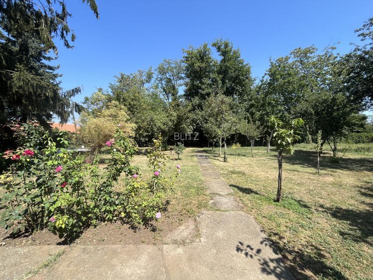 Popas La Doi Brazi - magazine, bar, terasă, casă boierească, grădină și piscină - 19