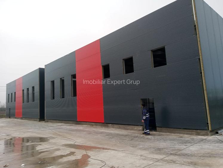 Hale noi PRET BOMBA ( 2 bucati ) 538 mp buc. Frumusani- Autostrada AO - 6