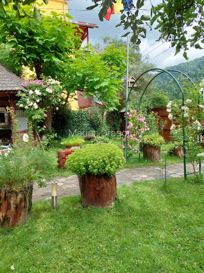 Vanzare casa de vacanta la 3 minute de partie 200.000 euro - 2