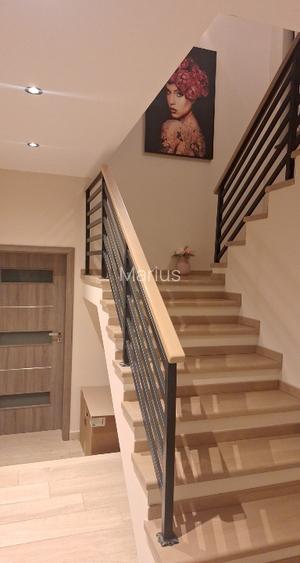 ALBERT-DIRECT PROPRIETAR(exclus agentii imob.)-Vila individuala mobilata - 8