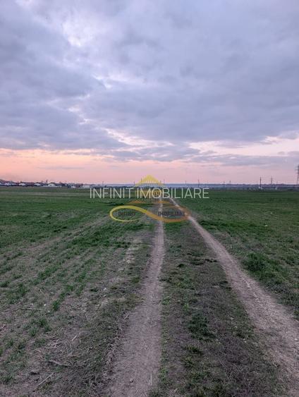 TEREN INTRAVILAN IN LILIECI, BACAU - 7