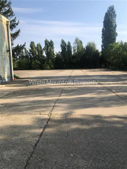 Teren 4519 mp si cladire P si Etaj (235 mp), de vanzare, Buftea - 3