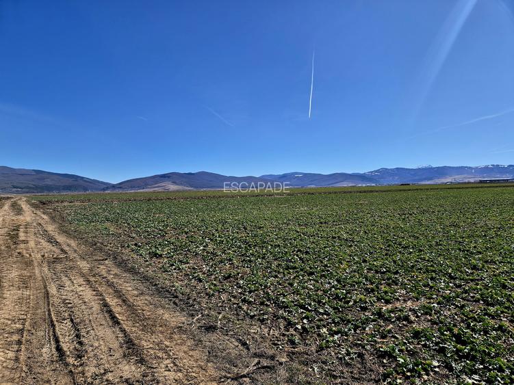 Teren extravilan de vânzare – Prejmer, Brașov | Potențial  pentru dezvoltare! - 4