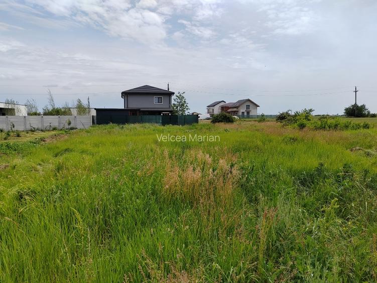 Teren Intravilan 538 mp – Balotești  - 2