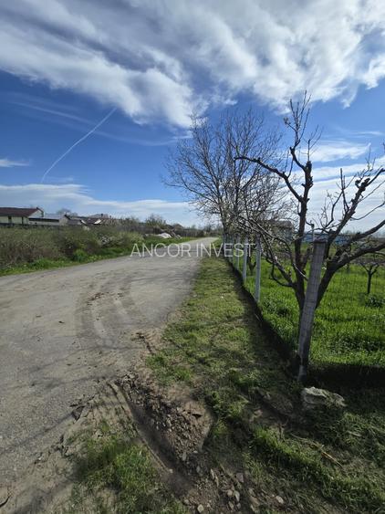 TEREN INTRAVILAN -1300 mp CURTISOARA - 9