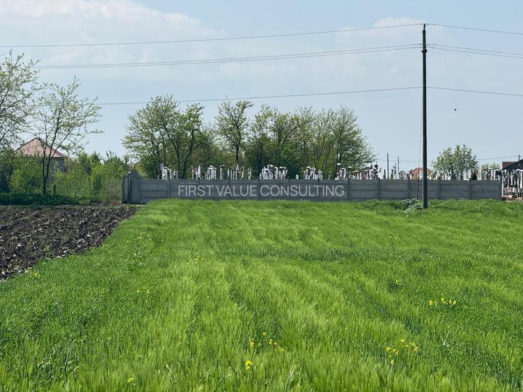 Casa veche si teren generos Bailesti - 7