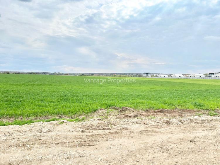 Teren intravilan 4657 mp, deschidere 30 ml, Ostratu, strada Lotusului - 6