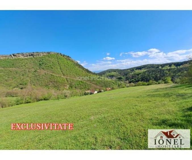 Casa de vanzare cu 46774 mp teren in zona Vintu - 9