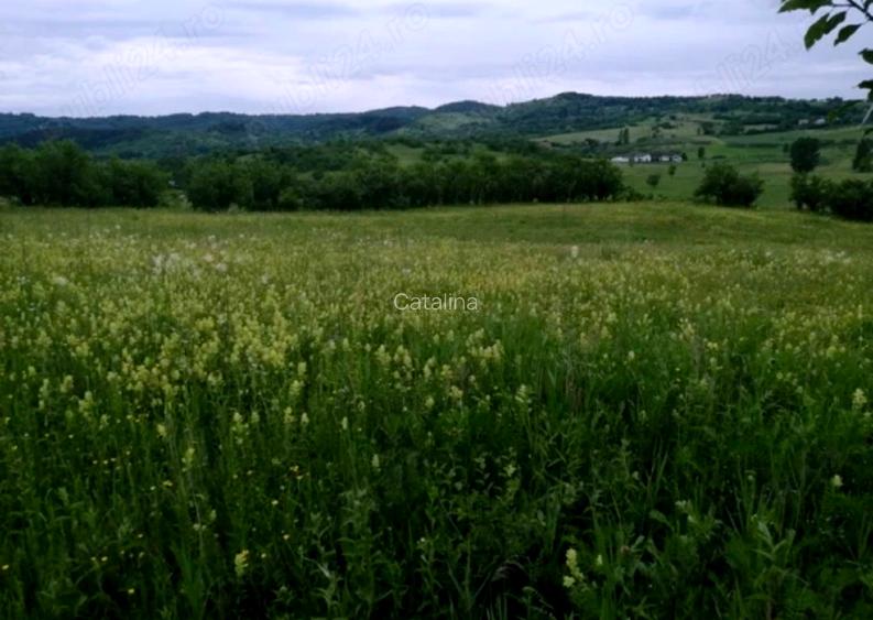 TEREN de vanzare, 4800 mp, in Posesti, judetul Prahova - 3