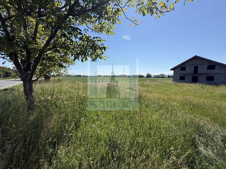 Teren intravilan 50000 mp, cu PUZ, Aprobat - zona Halchiu/Codlea - 19