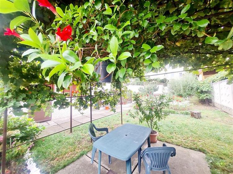 Poveste saseasca la umbra vitei de vie,cu crama,gradina flori,Central,Codlea - 4