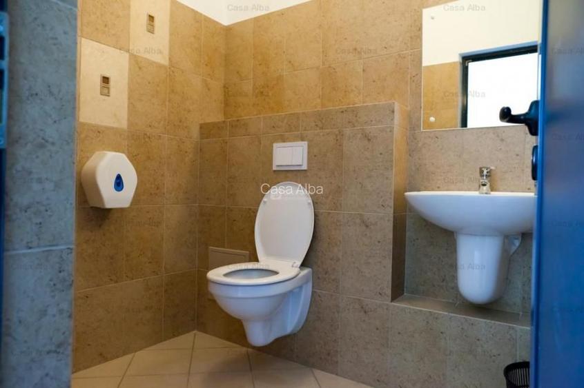 Spatiu de inchiriat, 809mp, amenajat, Tatarasi Sud - 13