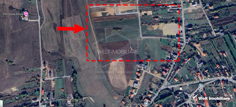 1500 mp front de 17,5 metrii - Teren cu potential excelent in Salicea - 7