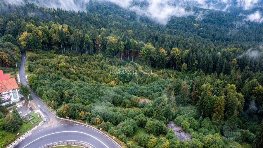 Teren intravilan Predeal-Strada Mihail Saulescu - 10