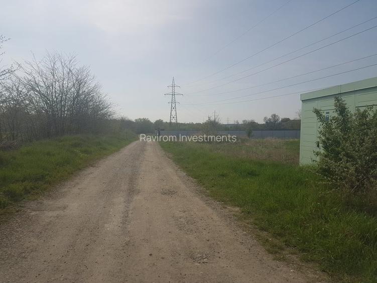 Teren 1.598mp, deschidere dubla, cea mare de 70ml, strada Arinilor, Gheraiesti - 6