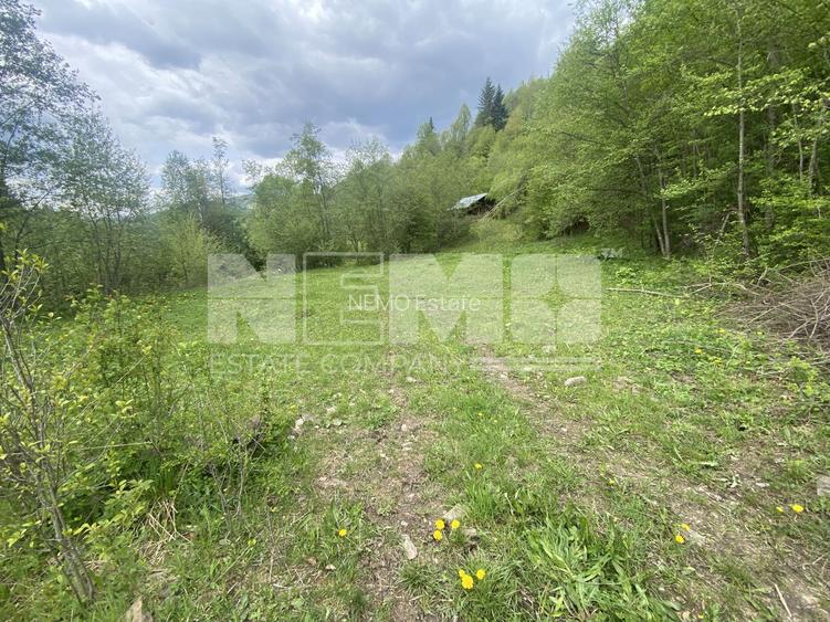 Teren Intravilan | Câmpulung Moldovenesc | 31ARI - 3