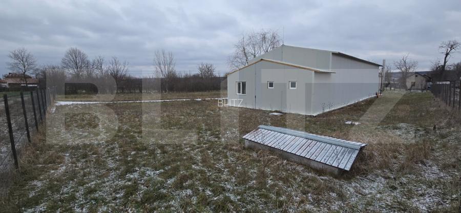 Hala industriala/comerciala, 190 mp, teren 2460 mp, Vulpeni - 9