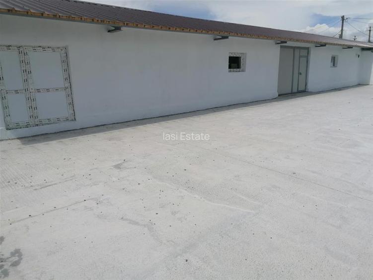 Hala 550mp zona Lunca Cetatuii - Dumbrava - 8