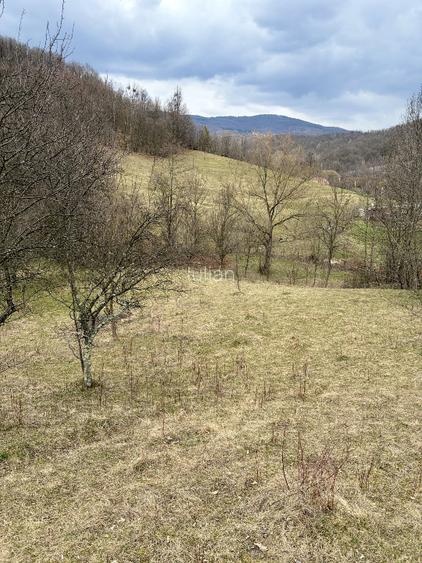 Teren Salatrucel Valcea intravilan cu curent trifazat 380V, faneata si padure - 4