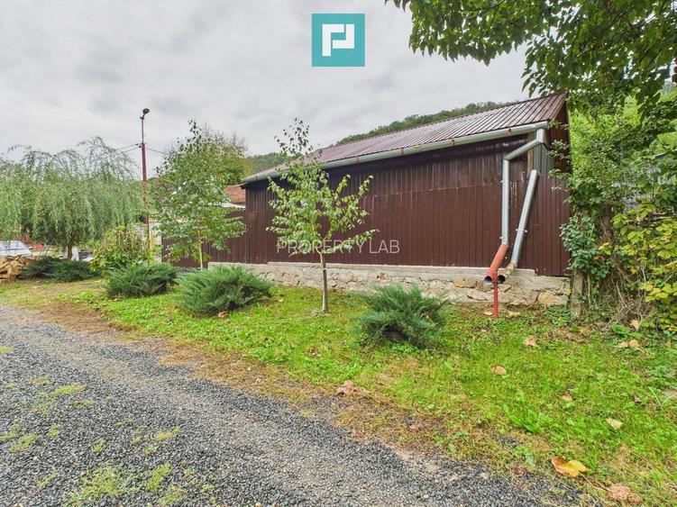 Căsuță de vacanță pentru pescari în Lipova - 10