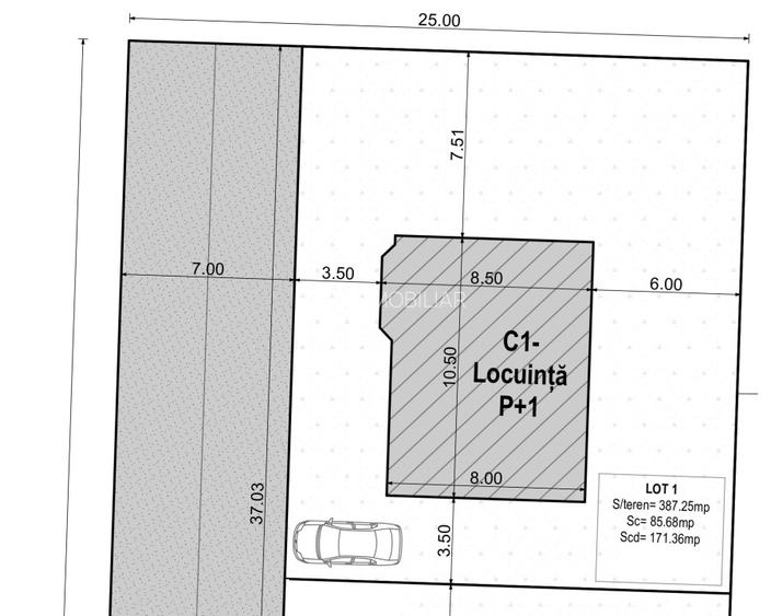 Vilă superbă P+1 Tunari 171mp, 4 camere, curte proprie, 387 mp teren - 9