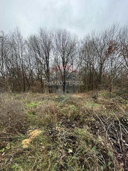 Teren 1,200mp si 400m2 cota drum Satu Nou de Jos / Strada Principala - 12