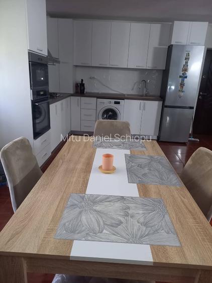 Apartament de vânzare, Dr. Tr. Severin - 12