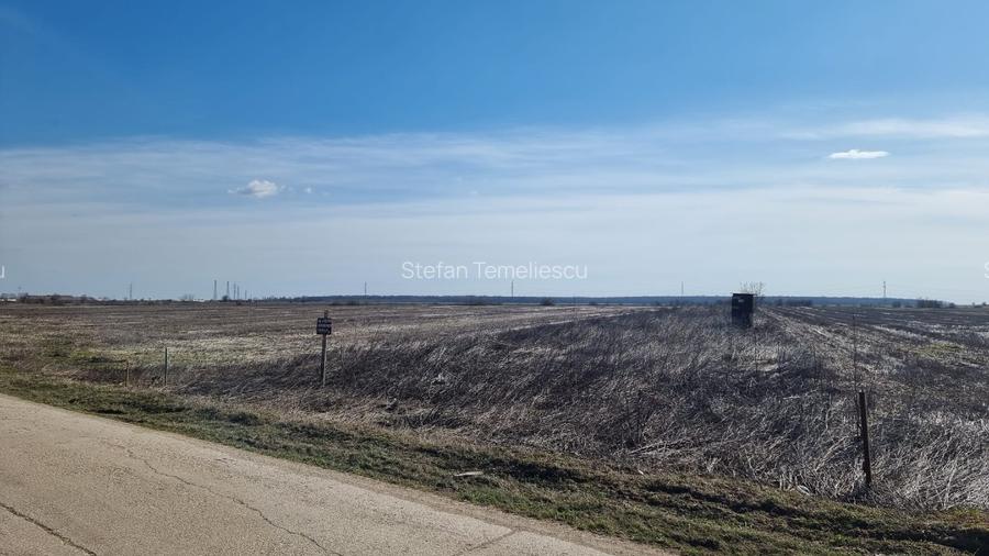 Ocazie- Teren Intravilan de Vanzare- Peris Snagov- Doar 9 euro/mp - 7