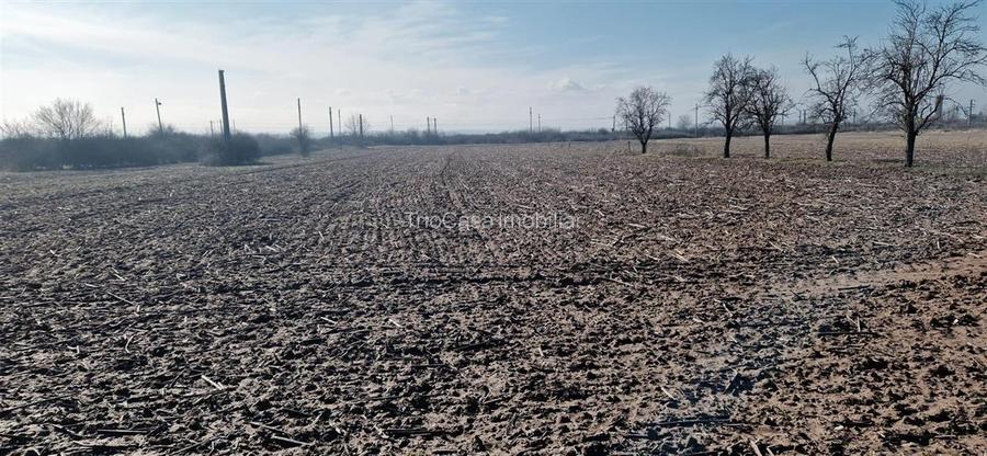 Casa Bradesti , teren  intravilan 7952 mp , deschidere 33 m la DE 70 - 16