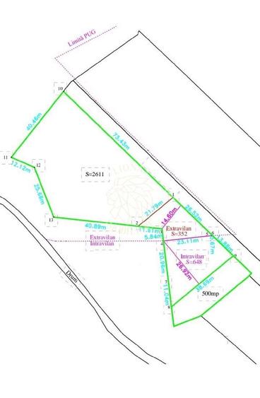 Teren 4761 mp-Parcelabil-pretabil investitie, casa-Viisoara - 3