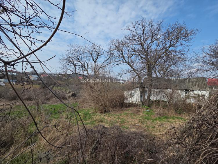 Teren intravilan sat Copacesti com Ruginesti - 4