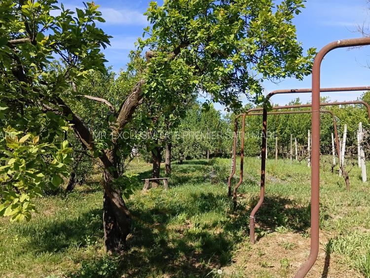 De Vânzare Casă Culciu Mare Satu Mare - 5