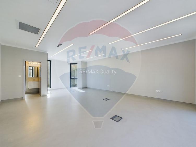 Spatiu de birouri premium - 52mp - Zona Decebal/Agricultori - 9