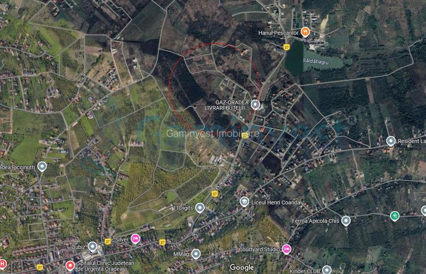 Teren intravilan de vanzare pentru dezvoltare imobiliara, Saldabagiu de Munte - 3