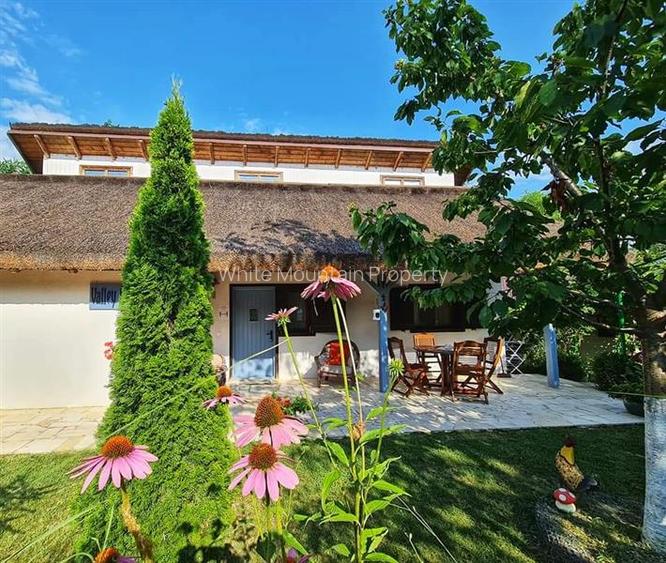 Somova, Tulcea, case de vacanta cu piscina, de vanzare - 5