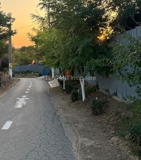 Vanzare Teren construibil  1800mp Ganeasa Pasarea - 10