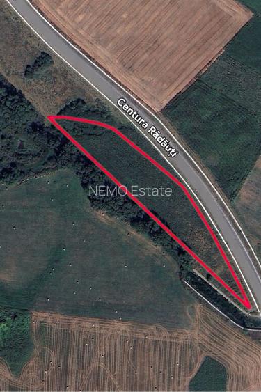 Teren extravilan | Rădăuți | 36 ARI - 17